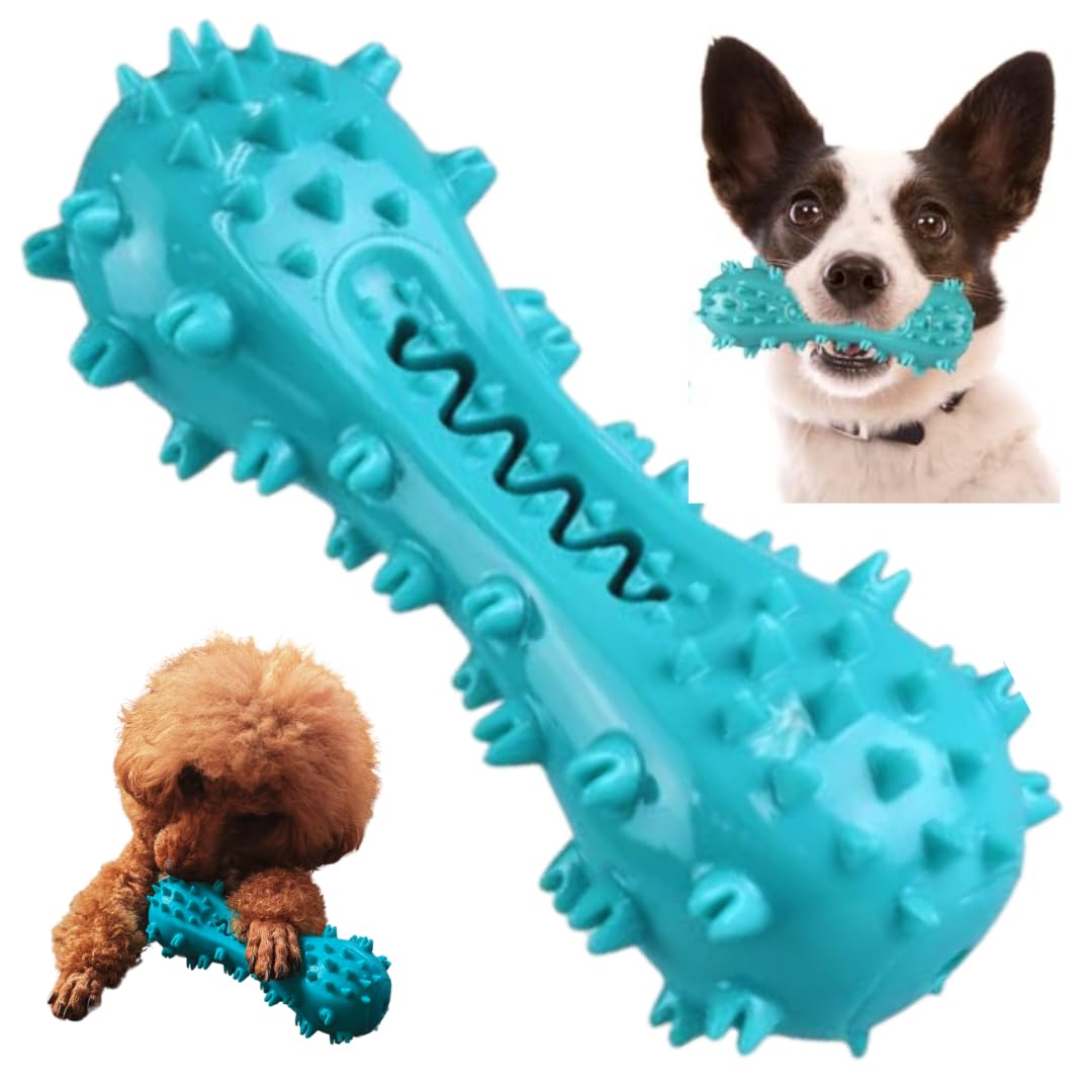 Amazon | ValleyBear ワンちゃん用おもちゃ 歯ブラシ トゲトゲ 噛む